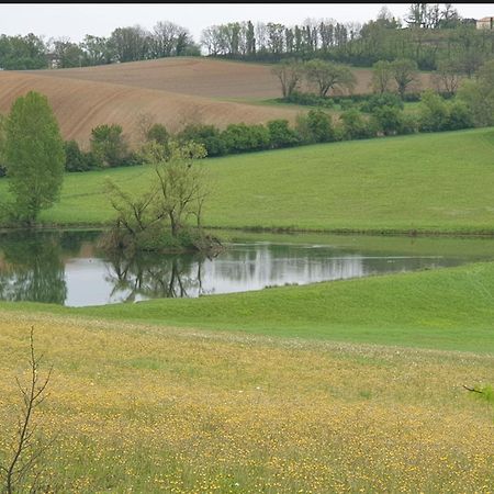 Seuls En Pleine Nature - Gite La Cote Blanche Puygaillard-de-Quercy Eksteriør billede