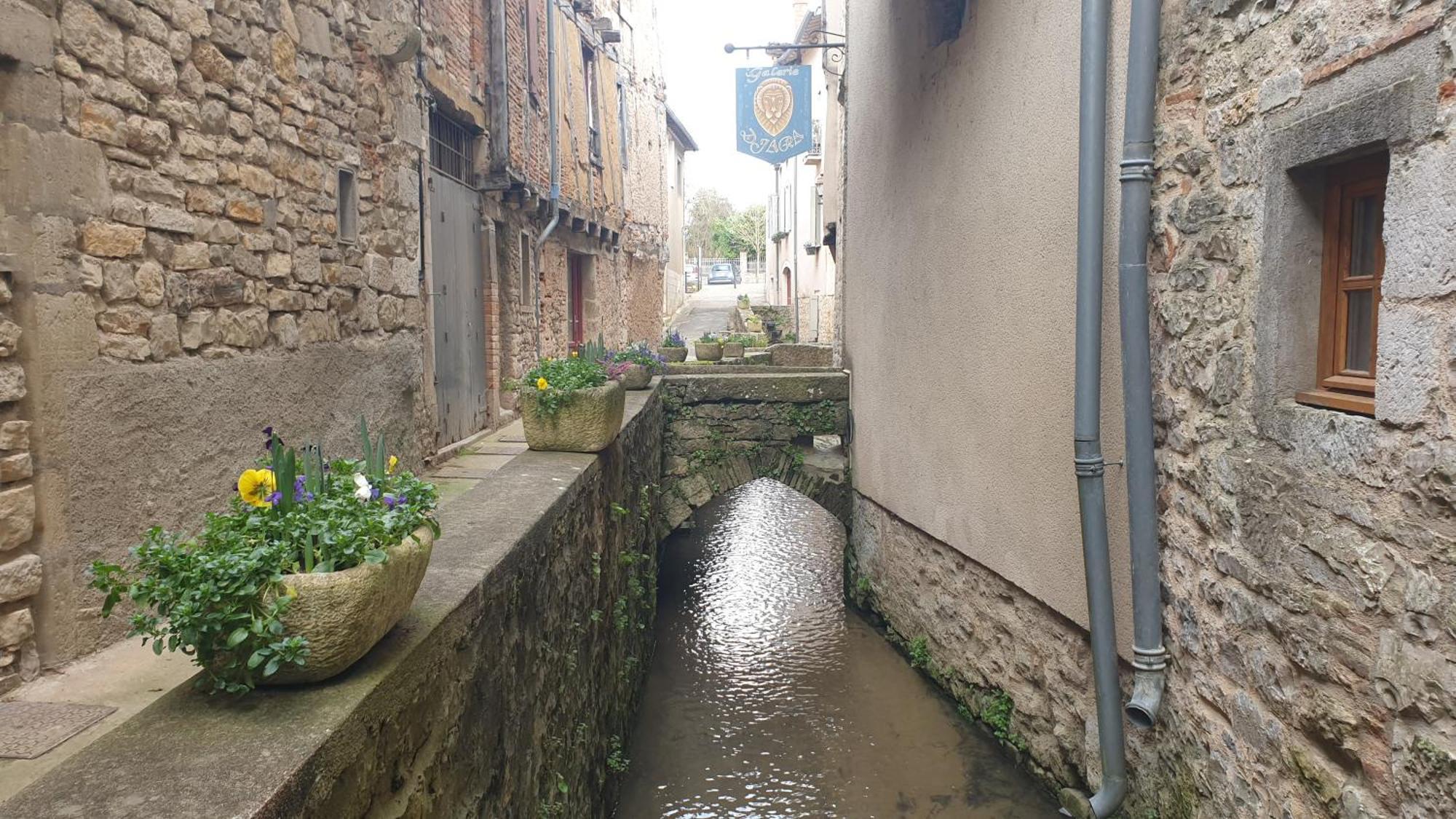 Seuls En Pleine Nature - Gite La Cote Blanche Puygaillard-de-Quercy Eksteriør billede