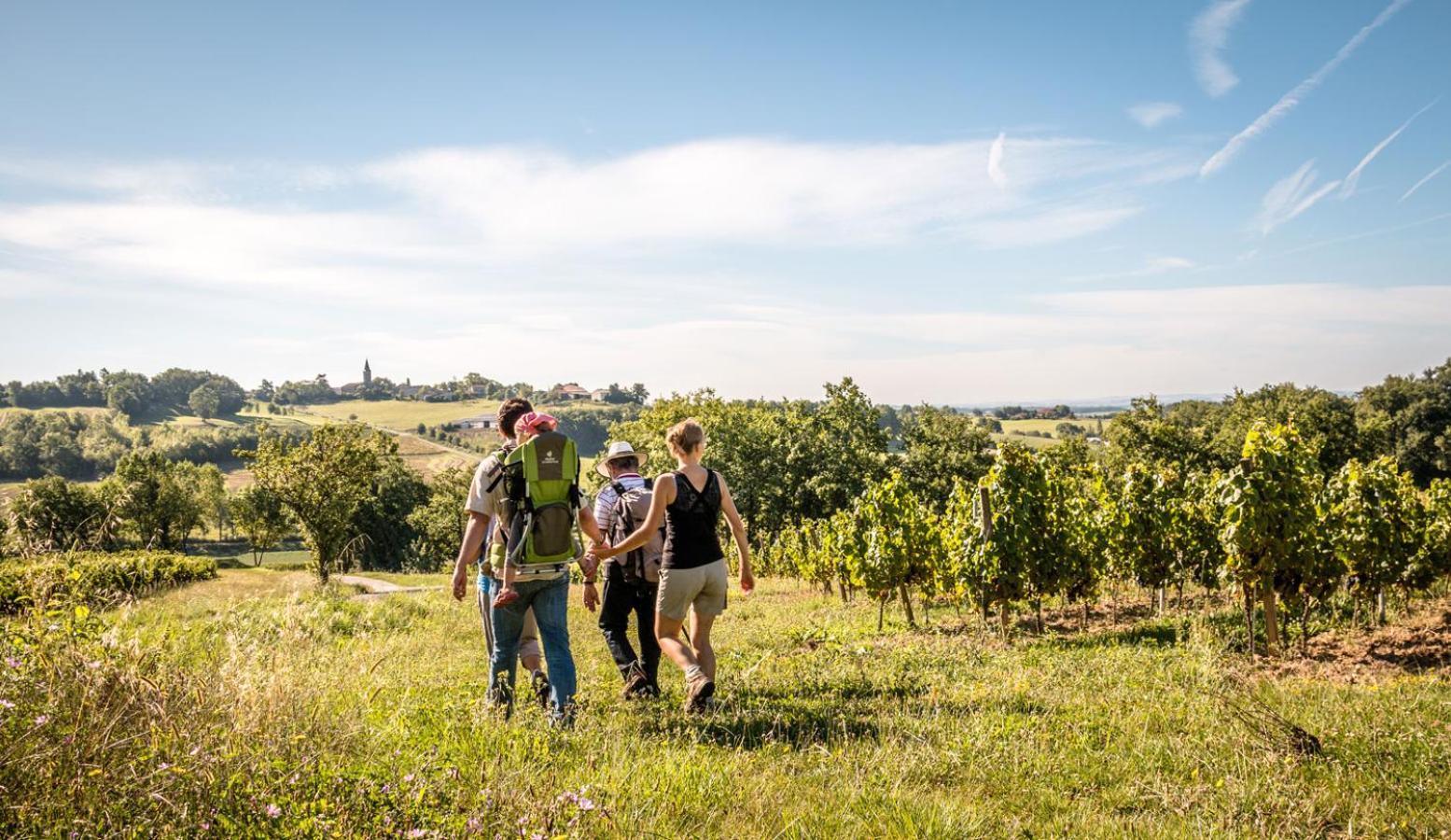 Seuls En Pleine Nature - Gite La Cote Blanche Puygaillard-de-Quercy Eksteriør billede