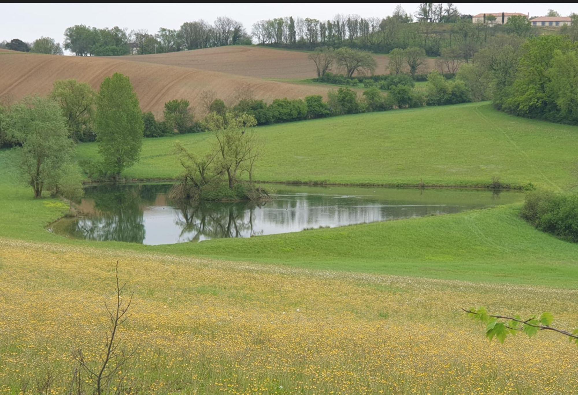 Seuls En Pleine Nature - Gite La Cote Blanche Puygaillard-de-Quercy Eksteriør billede